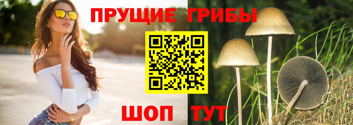 Псилоцибиновые грибы GOLDEN TEACHER Лобня