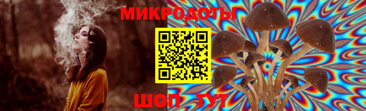 Галлюциногенные грибы прущие грибы  Лобня 